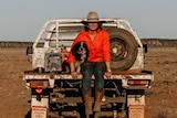 Female farmer sitting with dog on ute.