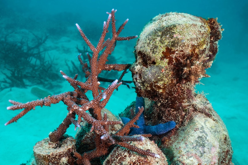 A sculpture of a young girl covered in coral and marine life