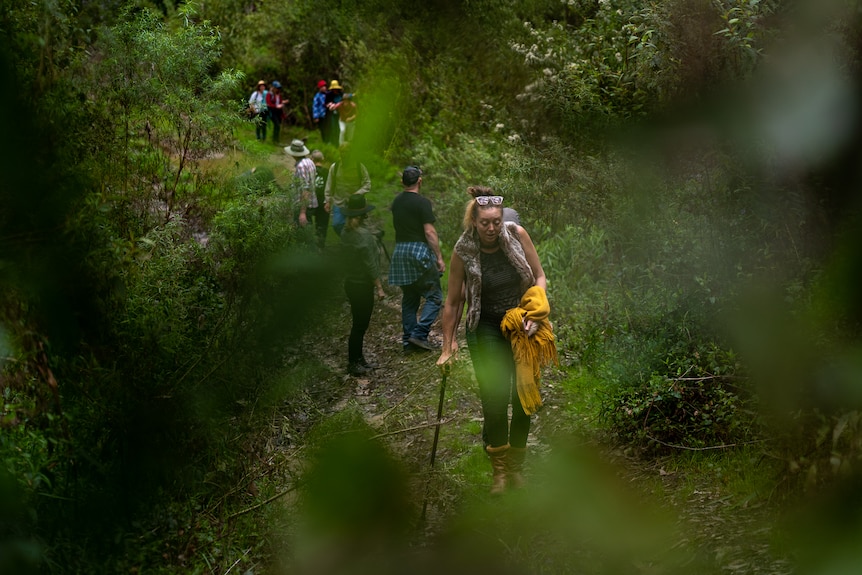 A group of people walk along a track in the forest. 