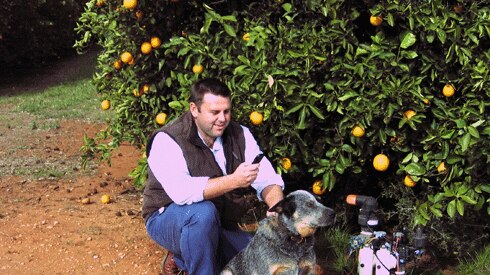 A man squats beside an irrigation pump at the base of an orange tree with a dog