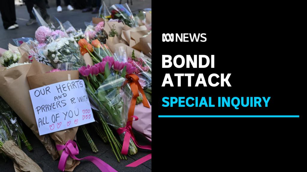 Special inquiry into Bondi Junction tragedy announced - ABC News