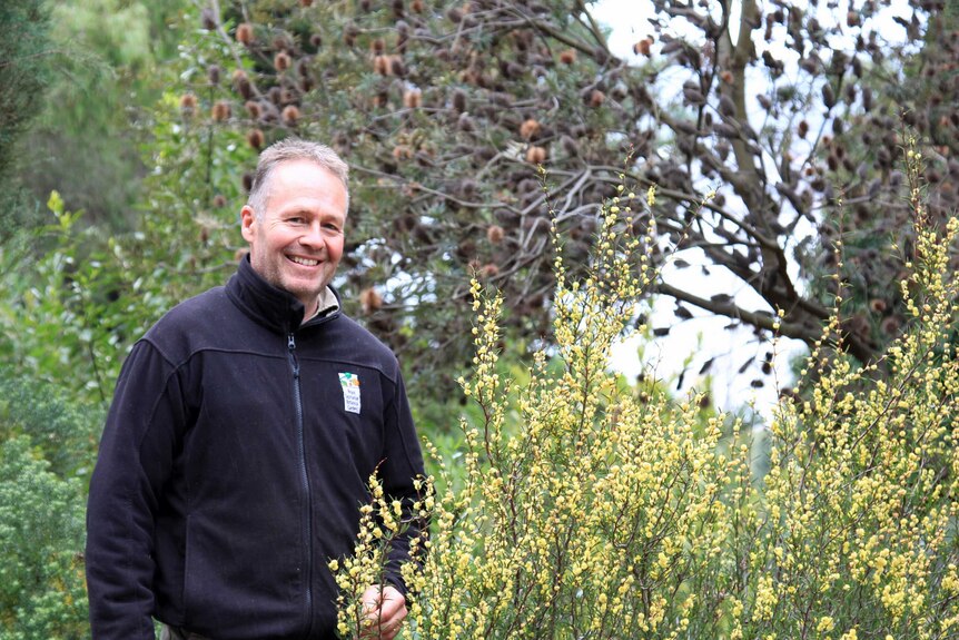 Man smiling, standing next to a plant with bright yellow flowers