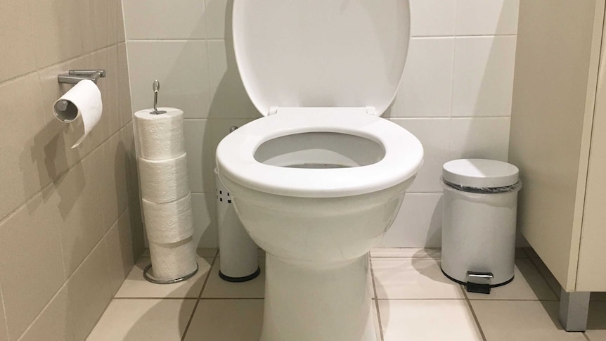 A toilet in a bathroom.