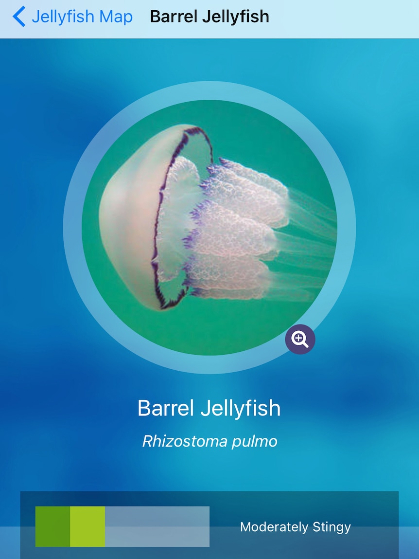 A screenshot from the Jellyfish Map app