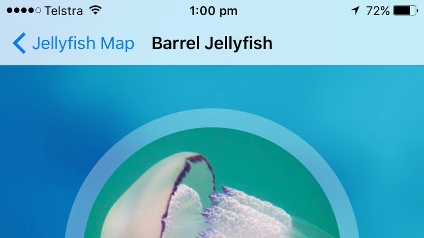 A screenshot from the Jellyfish Map app