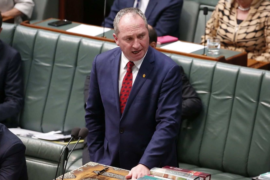 Deputy Prime Minister Barnaby Joyce standing and speaking at Parliament.