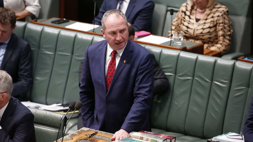 Deputy Prime Minister Barnaby Joyce standing and speaking at Parliament.