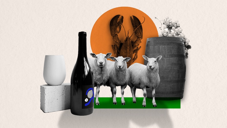 一张图片显示葡萄酒、葡萄、龙虾和绵羊与印度国旗相对。