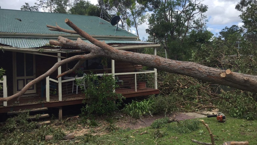 A tree has fallen on a house.