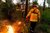 A firefighter starting backfires in the NT.