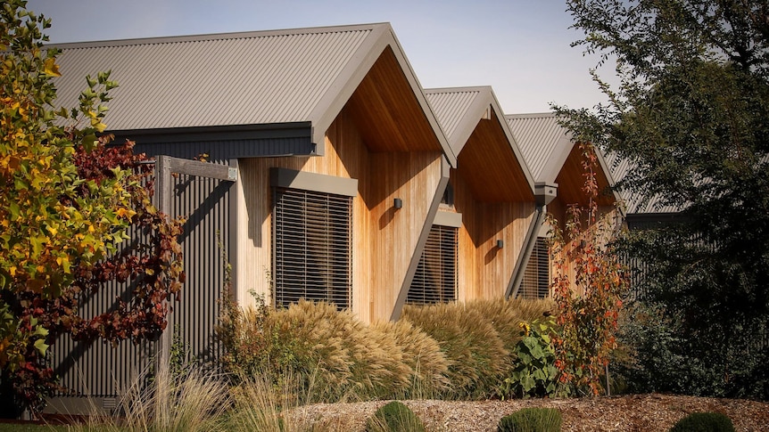 three sustainable wooden cabins overlook a patch of grass and weeds