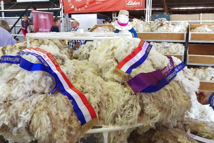Ribbons lie on top of a pile of wool at a sheep show