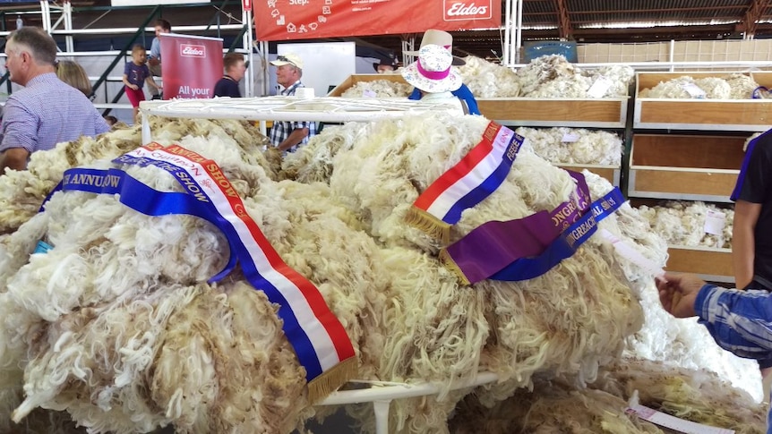 Ribbons lie on top of a pile of wool at a sheep show