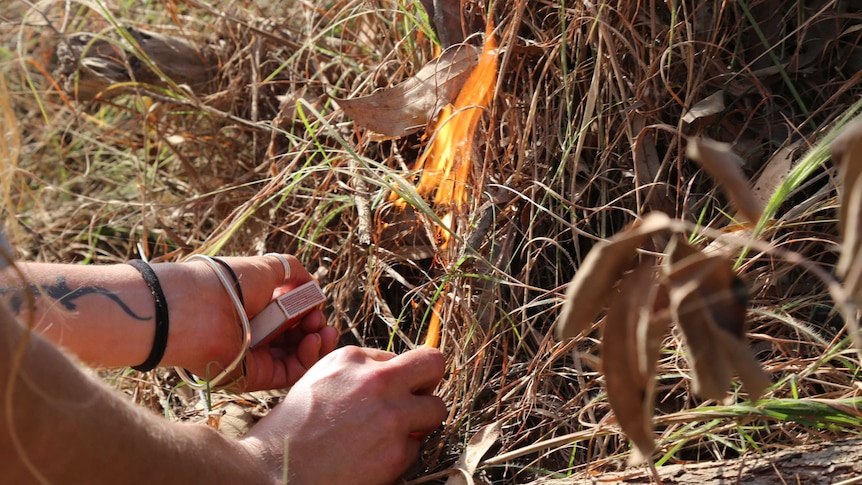 A close up of a woman's hands holding a box of matches as a small fire starts to burn in the bush