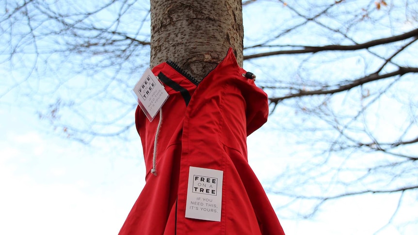 A garment on offer in Hobart as part of the Free On A Tree initiative.