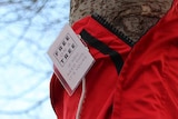 A garment on offer in Hobart as part of the Free On A Tree initiative.