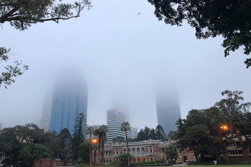 Tall city buildings shrouded in fog with park in foreground.