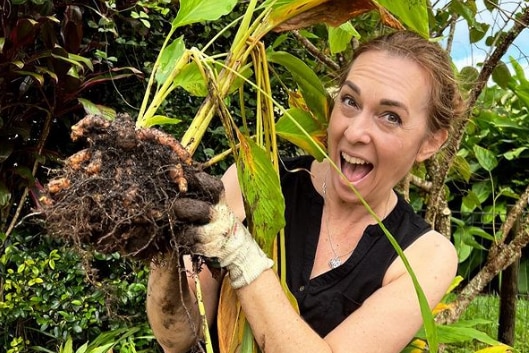 Jo Whitton in black shirt and gardening gloves holding a plant with soil and roots visible 