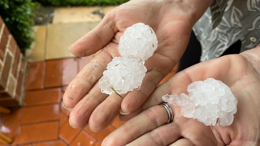 A woman holds two large pieces of hail.