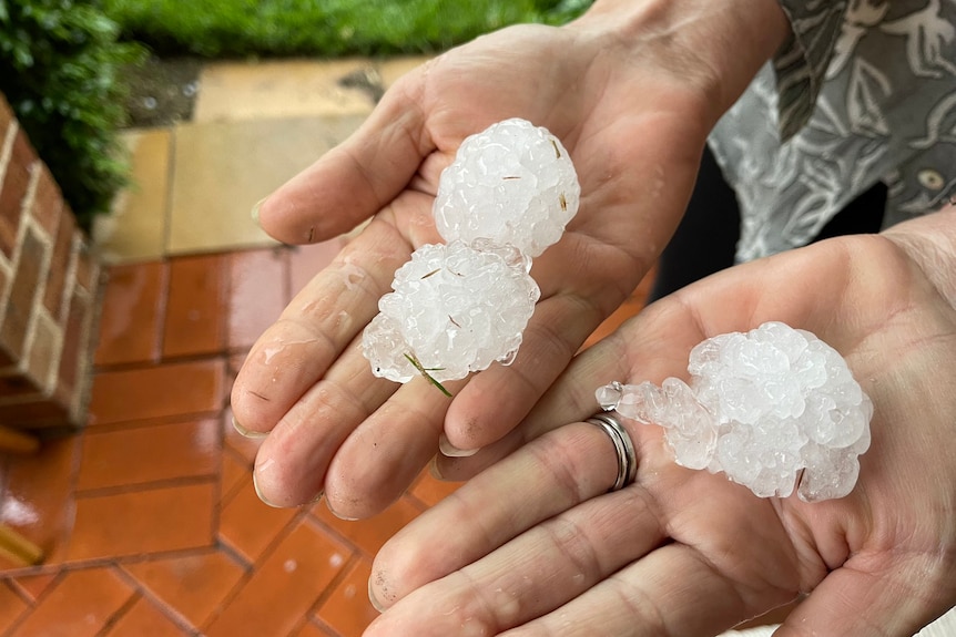 A woman holds two large pieces of hail.