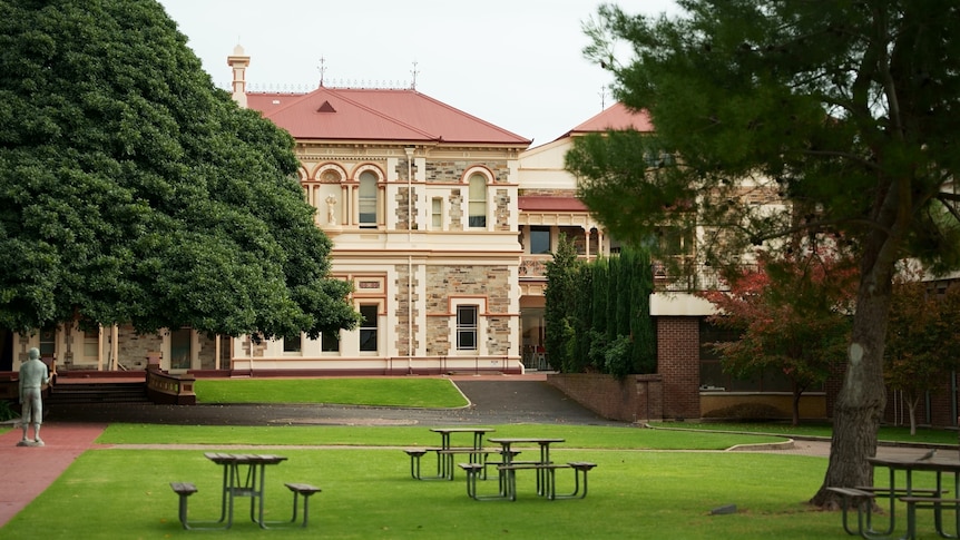 A green lawn and school building can be seen behind a fence.