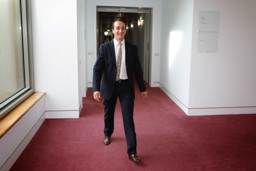 Dave Sharma walks down a red-carpeted hallway at Parliament House