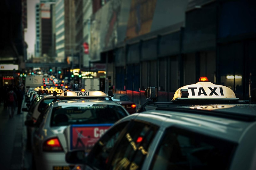 A row of taxis in a city street