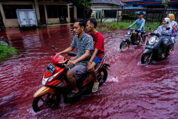 People ride motorbikes through the floodwaters in Pekalongan