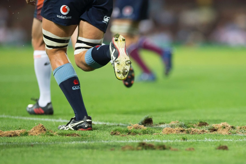 A rugby player runs over a grass surface with significant divots