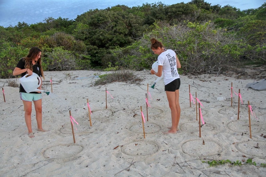 Two women use watering cans to pour water over patches of sand.