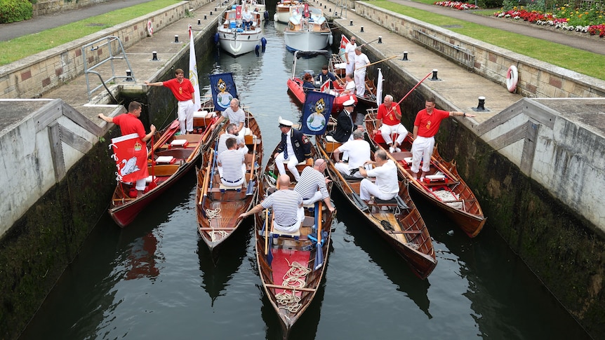 Five kayaks full of people row down a thin stretch of river.