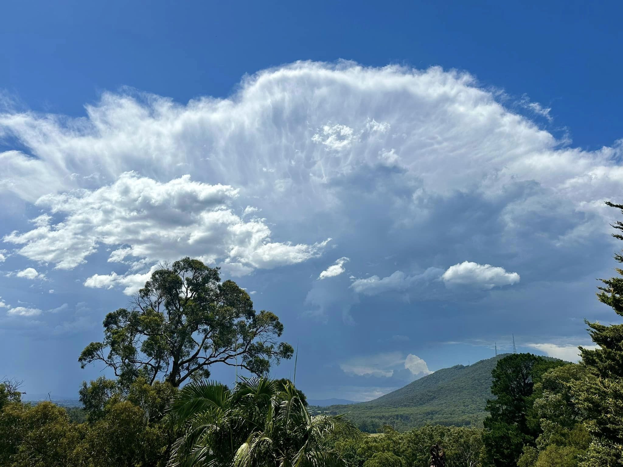 A big cloud in the Victorian sky