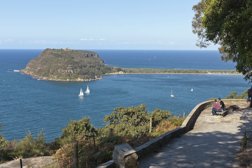 View to Barranjoey Headland from Kuringai National Park