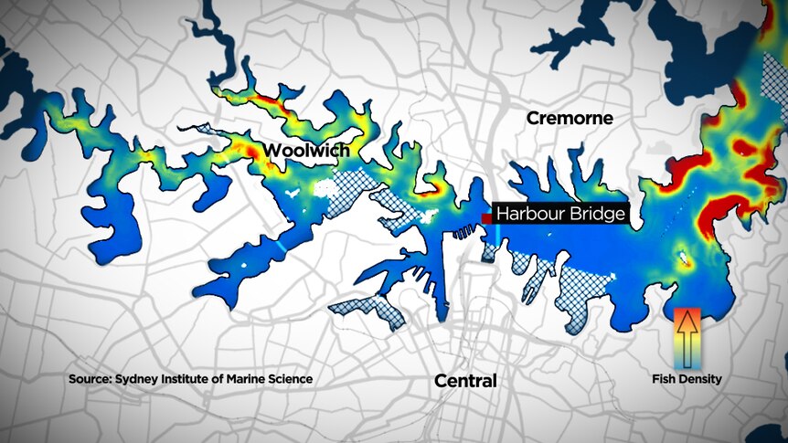 Map of fishing spots on Sydney Harbour