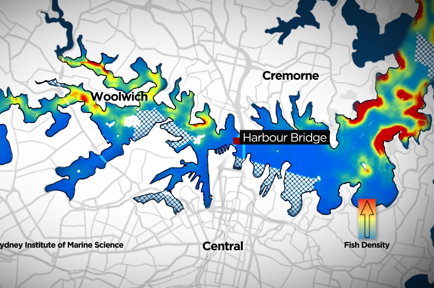 Map of fishing spots on Sydney Harbour