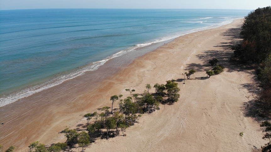 an aerial shot of a beach with trees and shrubs. the ocean is blue