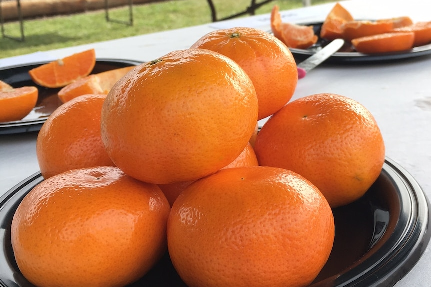 a pile of mandarins on a plate
