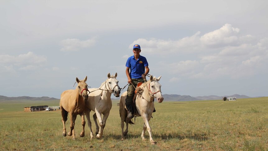 Mongolian vet and race co-founder Naranbaatar Adiya riding on a horse in the countryside.