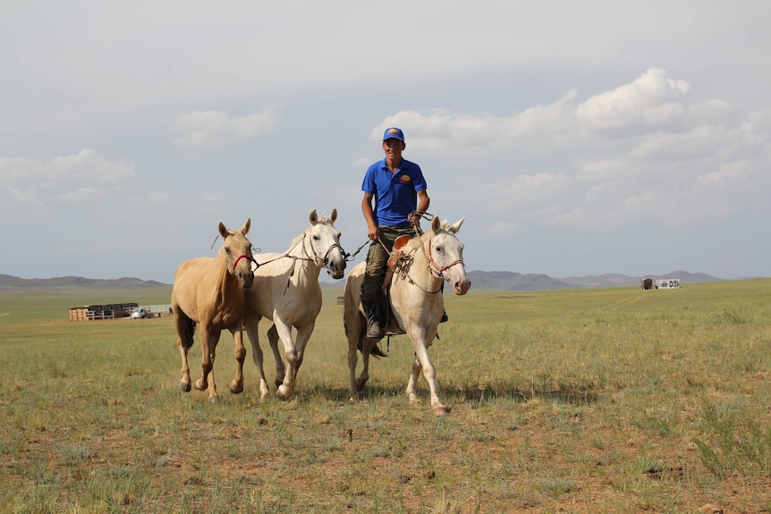 Mongolian vet and race co-founder Naranbaatar Adiya riding on a horse in the countryside.
