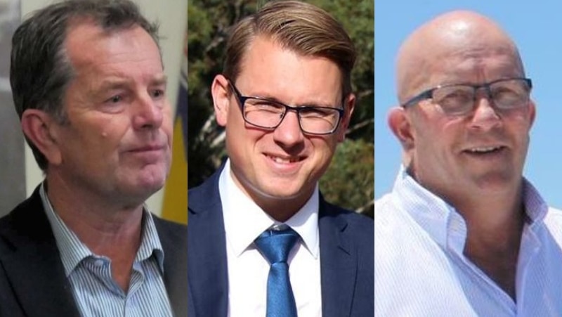MP expenses saga caused 'political damage', says - ABC News