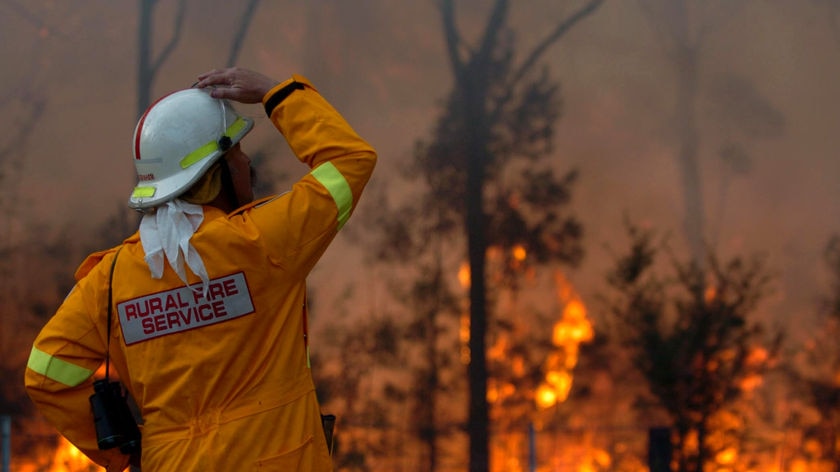 A Rural Fire Service firefighter looks out at a bushfire.