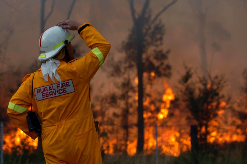 An RFS volunteer keeps a watch on bushfires