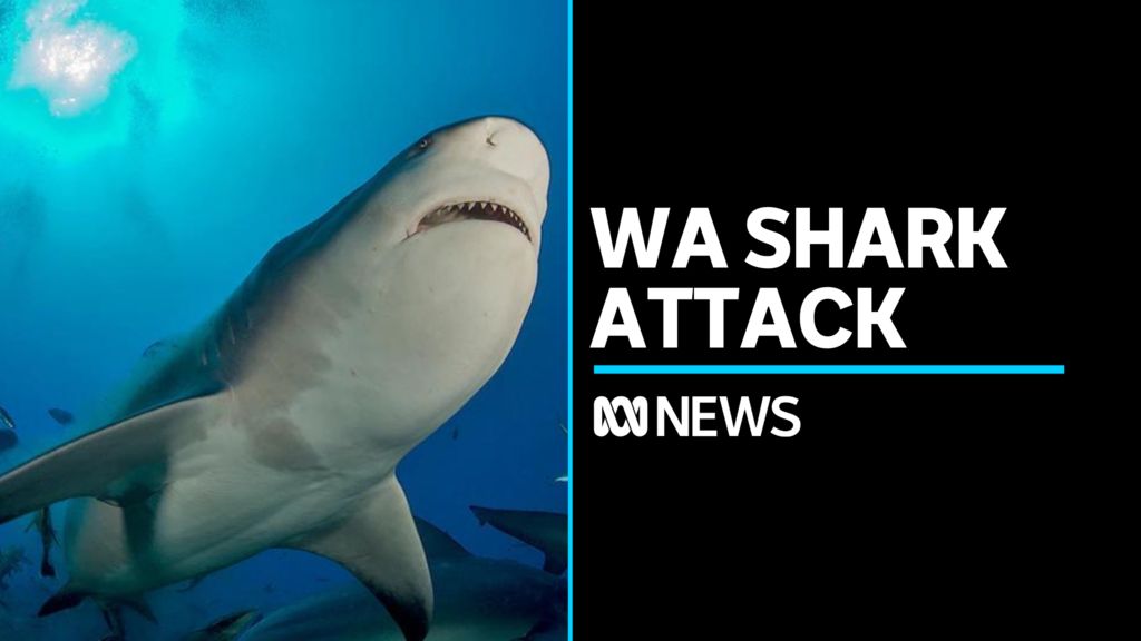 Man bitten by shark at popular surf spot near Margaret River in WA