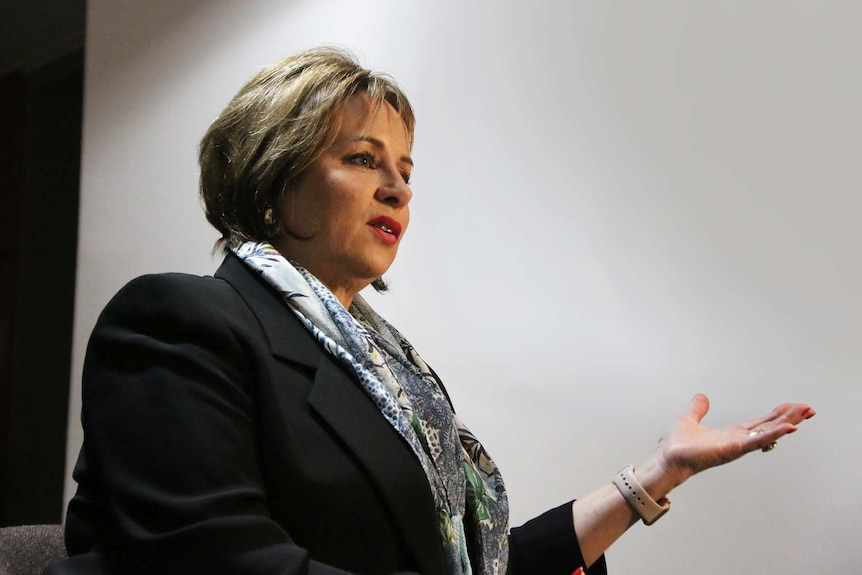 Tasmania's Speaker Sue Hickey