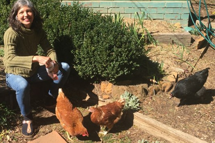 Kathy and three chooks