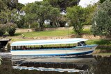 Popeye still operating on the River Torrens despite algae