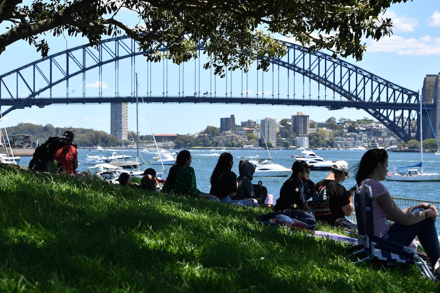 In the foreground, people sit on the grassy embankment overlooking the water and the Sydney Harbour Bridge.