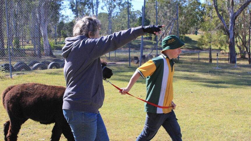 A woman gives direction to a student leading an alpaca