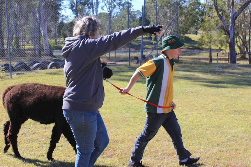 A woman gives direction to a student leading an alpaca