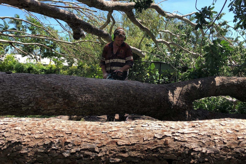 A man chainsaws a tree.